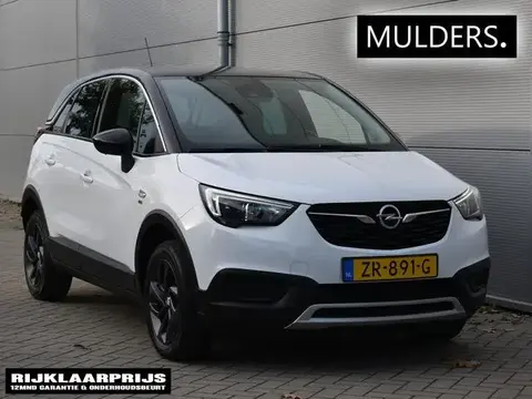 Annonce OPEL CROSSLAND Essence 2019 d'occasion 