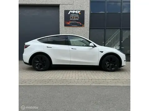 Used TESLA MODEL Y Electric 2023 Ad 