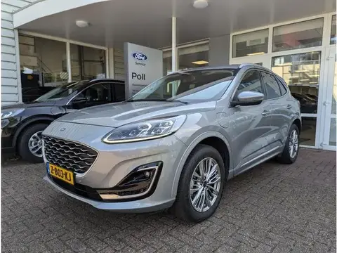 Annonce FORD KUGA Hybride 2023 d'occasion 