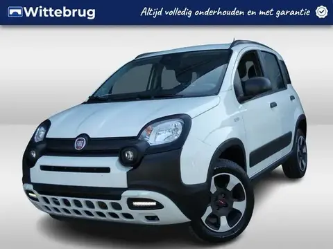 Used FIAT PANDA Petrol 2021 Ad 