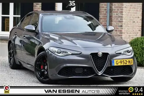 Used ALFA ROMEO GIULIA Petrol 2019 Ad 