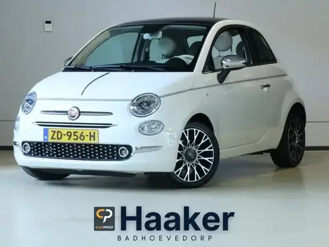 Used FIAT 500 Petrol 2019 Ad 