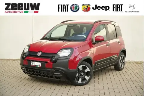 Used FIAT PANDA Petrol 2024 Ad 