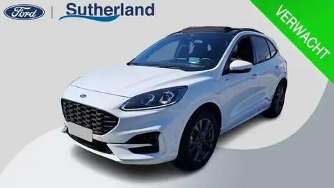 Used FORD KUGA Hybrid 2023 Ad 