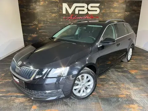 Used SKODA OCTAVIA Diesel 2019 Ad 