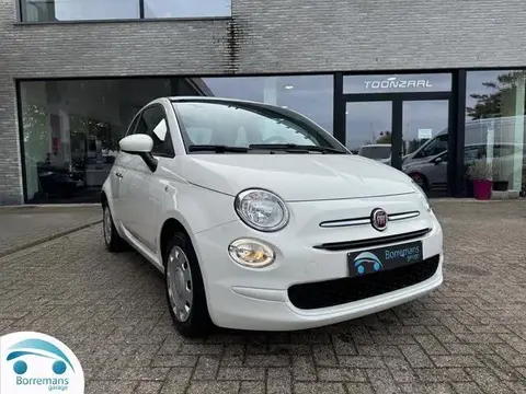 Used FIAT 500 Petrol 2021 Ad 