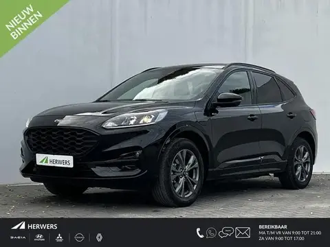 Used FORD KUGA Hybrid 2023 Ad 