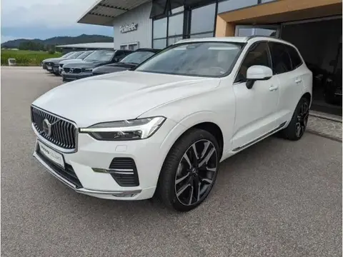 Annonce VOLVO XC60 Diesel 2021 d'occasion 