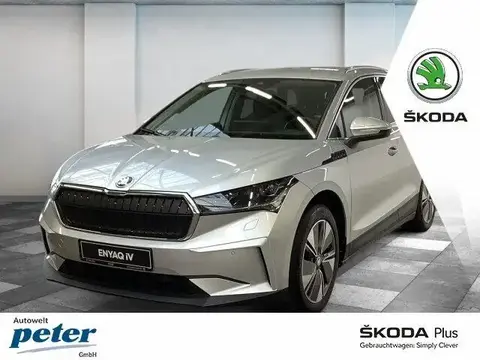 Used SKODA ENYAQ Electric 2021 Ad 