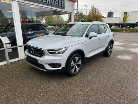 Used VOLVO XC40 Hybrid 2020 Ad 