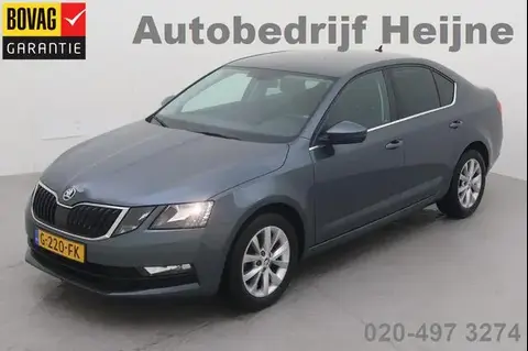 Used SKODA OCTAVIA Petrol 2019 Ad 