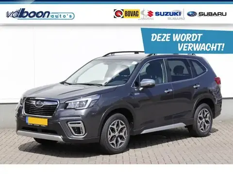 Used SUBARU FORESTER Petrol 2020 Ad 