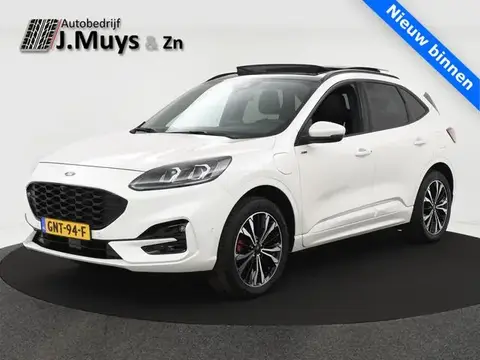 Annonce FORD KUGA Hybride 2021 d'occasion 