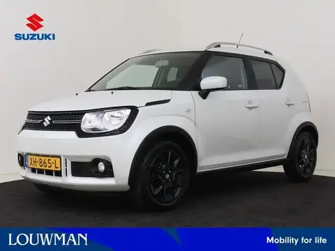 Used SUZUKI IGNIS Petrol 2019 Ad 