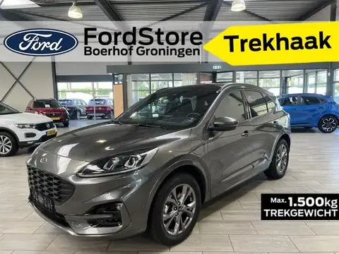 Used FORD KUGA Hybrid 2023 Ad 