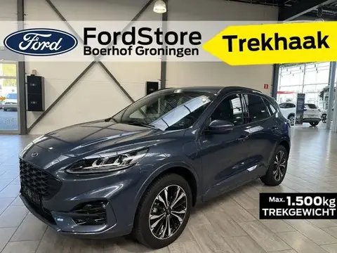 Used FORD KUGA Hybrid 2024 Ad 