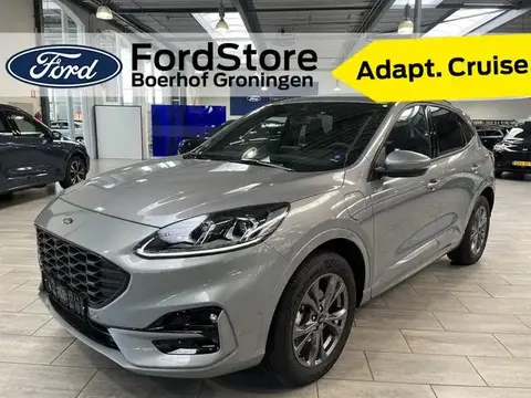 Used FORD KUGA Hybrid 2023 Ad 