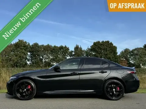 Used ALFA ROMEO GIULIA Petrol 2021 Ad 