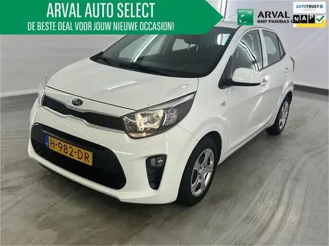 Annonce KIA PICANTO Essence 2020 d'occasion 