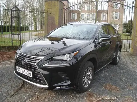 Annonce LEXUS NX Hybride 2022 d'occasion 