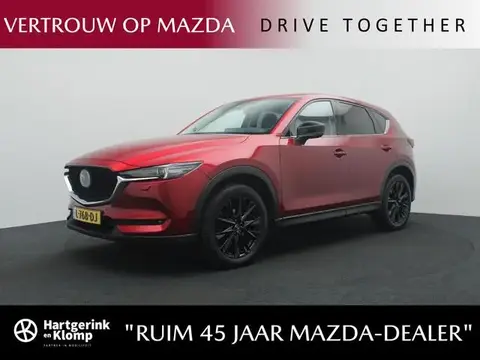 Used MAZDA CX-5 Petrol 2021 Ad 