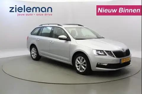 Annonce SKODA OCTAVIA Diesel 2018 d'occasion 