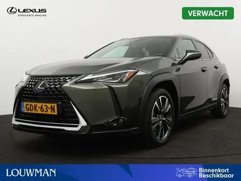 Used LEXUS UX Hybrid 2021 Ad 