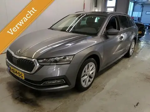 Annonce SKODA OCTAVIA Essence 2022 d'occasion 