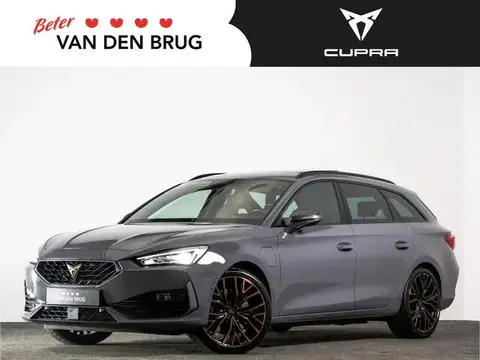 Used CUPRA LEON Hybrid 2021 Ad 