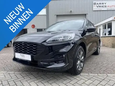 Used FORD KUGA Hybrid 2023 Ad 