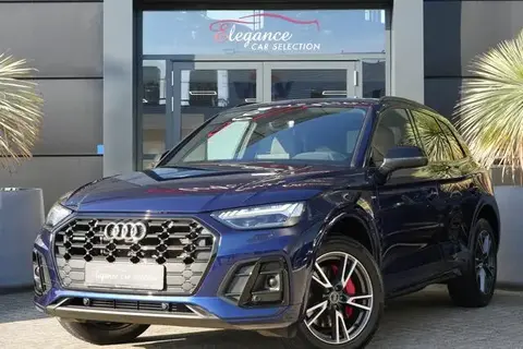 Used AUDI Q5 Hybrid 2023 Ad 