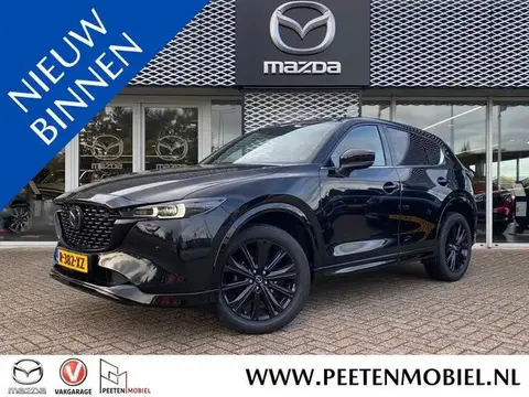 Used MAZDA CX-5 Petrol 2023 Ad 