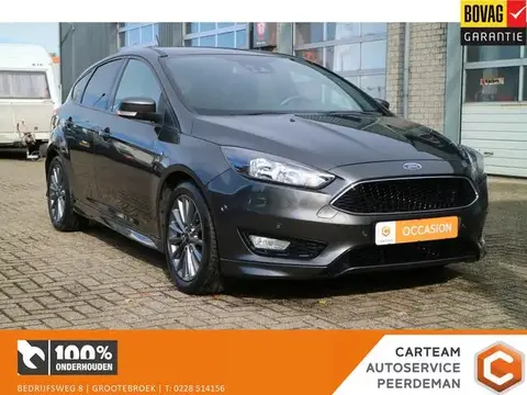 Annonce FORD FOCUS Essence 2018 d'occasion 