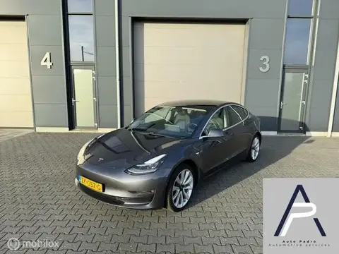 Used TESLA MODEL 3 Electric 2019 Ad 