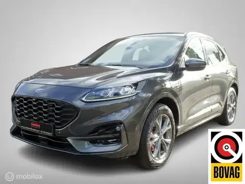 Used FORD KUGA Hybrid 2021 Ad 