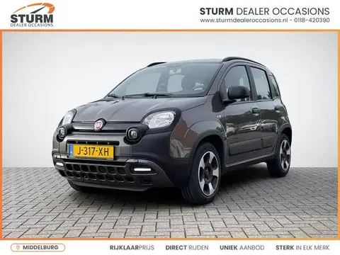 Used FIAT PANDA Hybrid 2020 Ad 