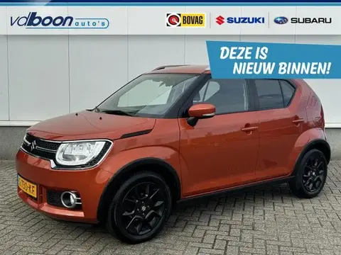 Annonce SUZUKI IGNIS Hybride 2019 d'occasion 