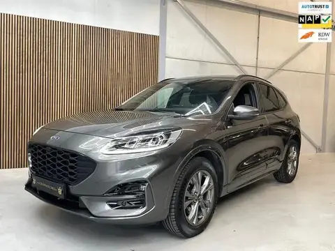 Used FORD KUGA Hybrid 2020 Ad 