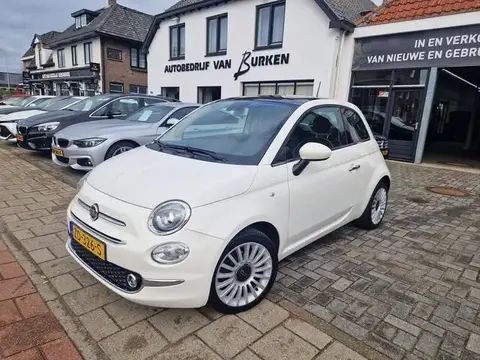 Used FIAT 500 Petrol 2019 Ad 