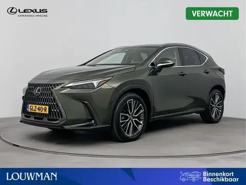 Used LEXUS NX Hybrid 2022 Ad 