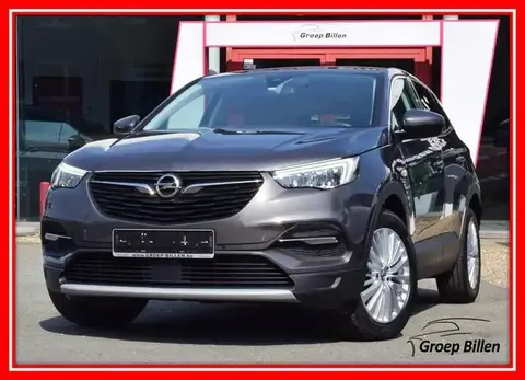 Used OPEL GRANDLAND Petrol 2020 Ad 