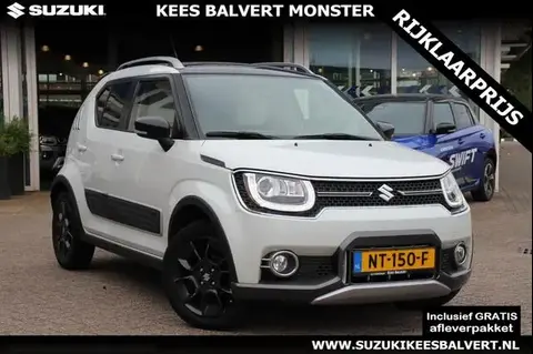 Used SUZUKI IGNIS Petrol 2017 Ad 