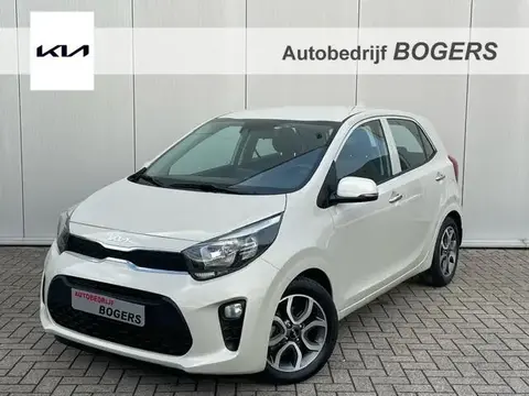 Annonce KIA PICANTO Essence 2023 d'occasion 