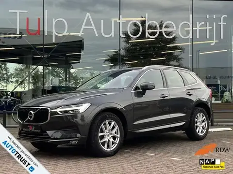 Used VOLVO XC60 Petrol 2019 Ad 