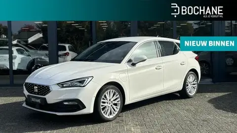 Used SEAT LEON Hybrid 2021 Ad 