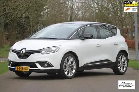 Used RENAULT SCENIC Petrol 2019 Ad 