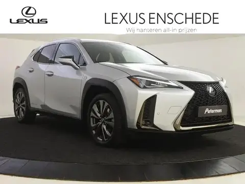 Used LEXUS UX Hybrid 2020 Ad 