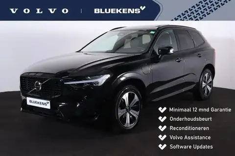 Used VOLVO XC60 Hybrid 2023 Ad 