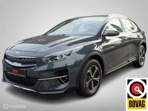 Used KIA XCEED Hybrid 2021 Ad 