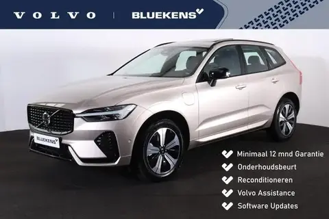 Used VOLVO XC60 Hybrid 2024 Ad 